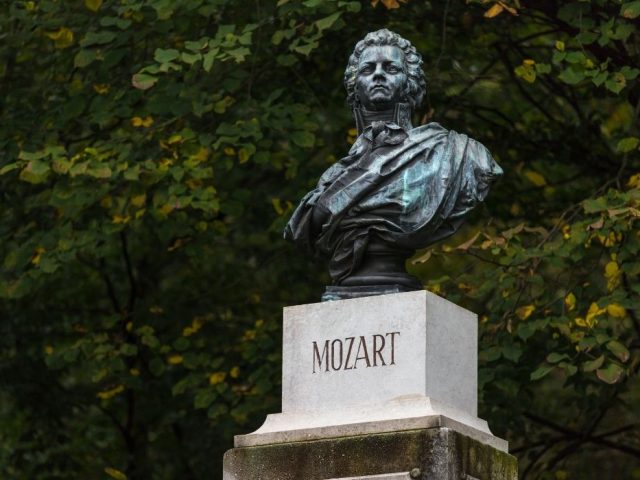 Mozart Tutkunun Peşinde Bir Hayat