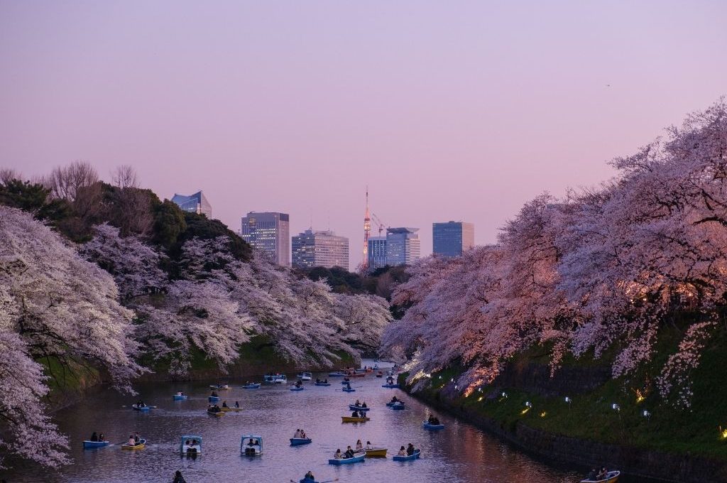 Tokyo Travel Guide A Journey Through Japan