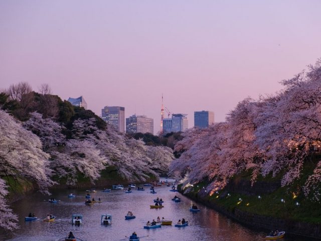 Tokyo Travel Guide A Journey Through Japan