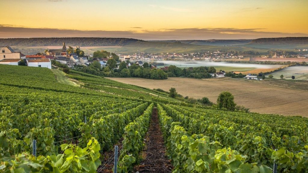 8 Easy Day Trips from Paris That Feel Like Hidden Gems (6)