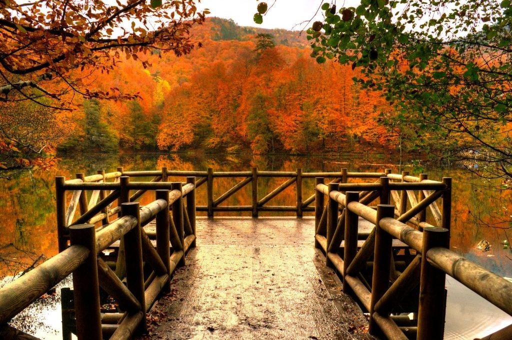 İstanbul’a Yakın En Güzel Sonbahar Rotaları